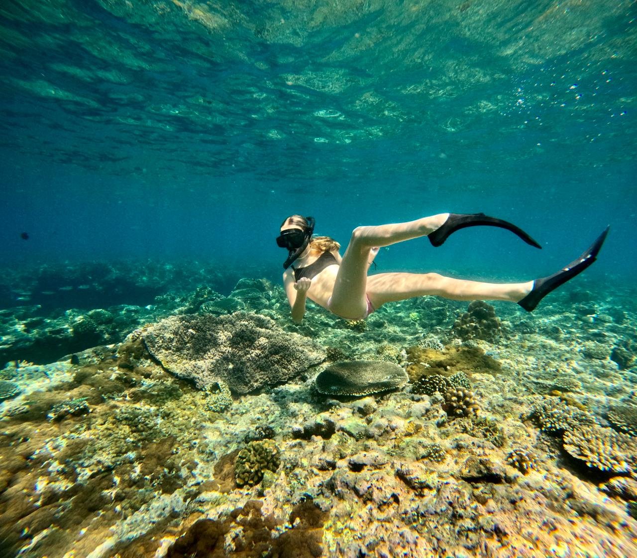 Blue Lagoon Snorkeling